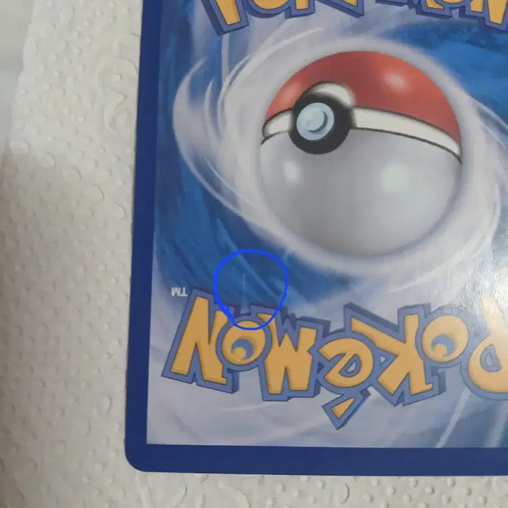 [BUNJANG] Gyarados Promo Card / 잉어킹 프로모 팝니다