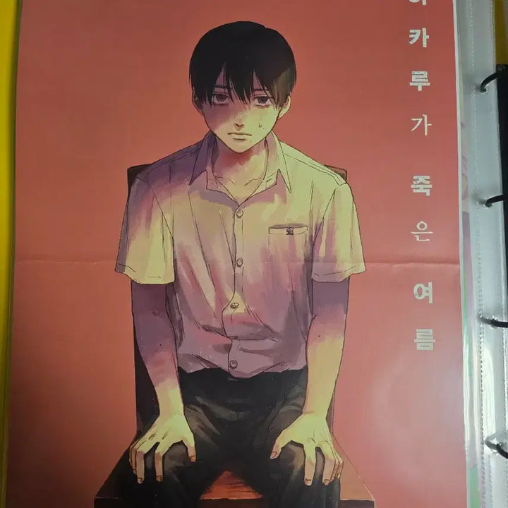 [BUNJANG] Hikaru ga Shinda Natsu Poster / 히카루가 죽은 여름 포스터