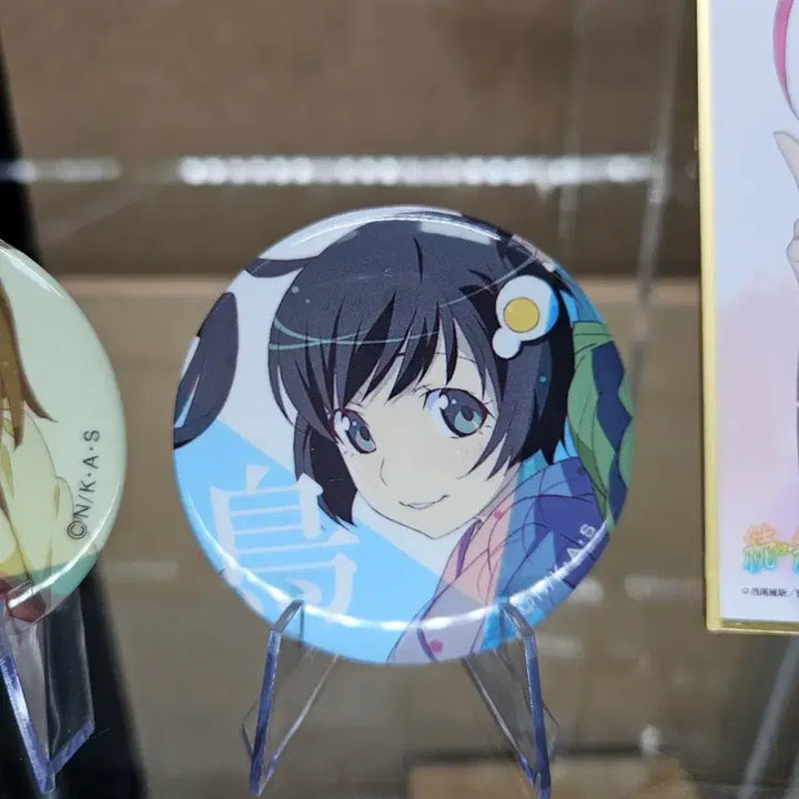 [BUNJANG] Monogatari Series Can Badge Set / 모노가타리 시리즈 캔뱃지 세트