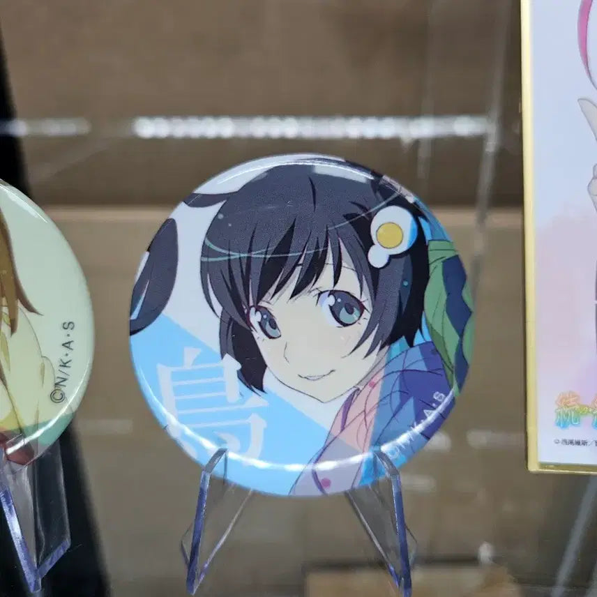 [BUNJANG] Monogatari Series Can Badge Set / 모노가타리 시리즈 캔뱃지 세트