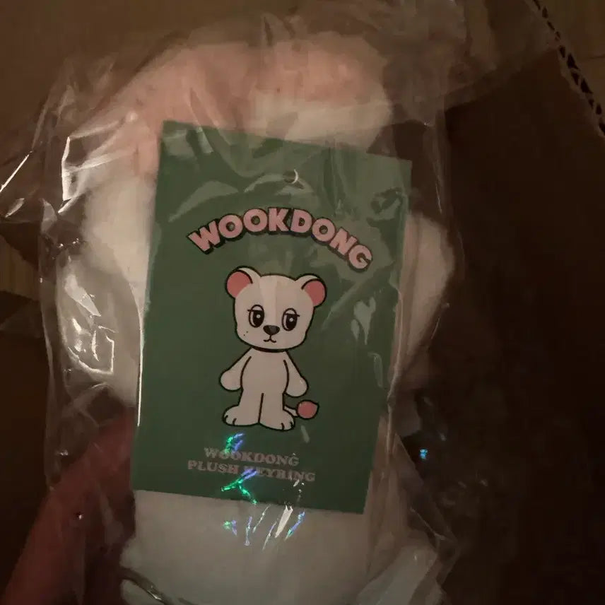 [BUNJANG] Lee Dong-wook Wookdongi Doll Keychain / 이동욱 욱동이 인형 키링 팔아요