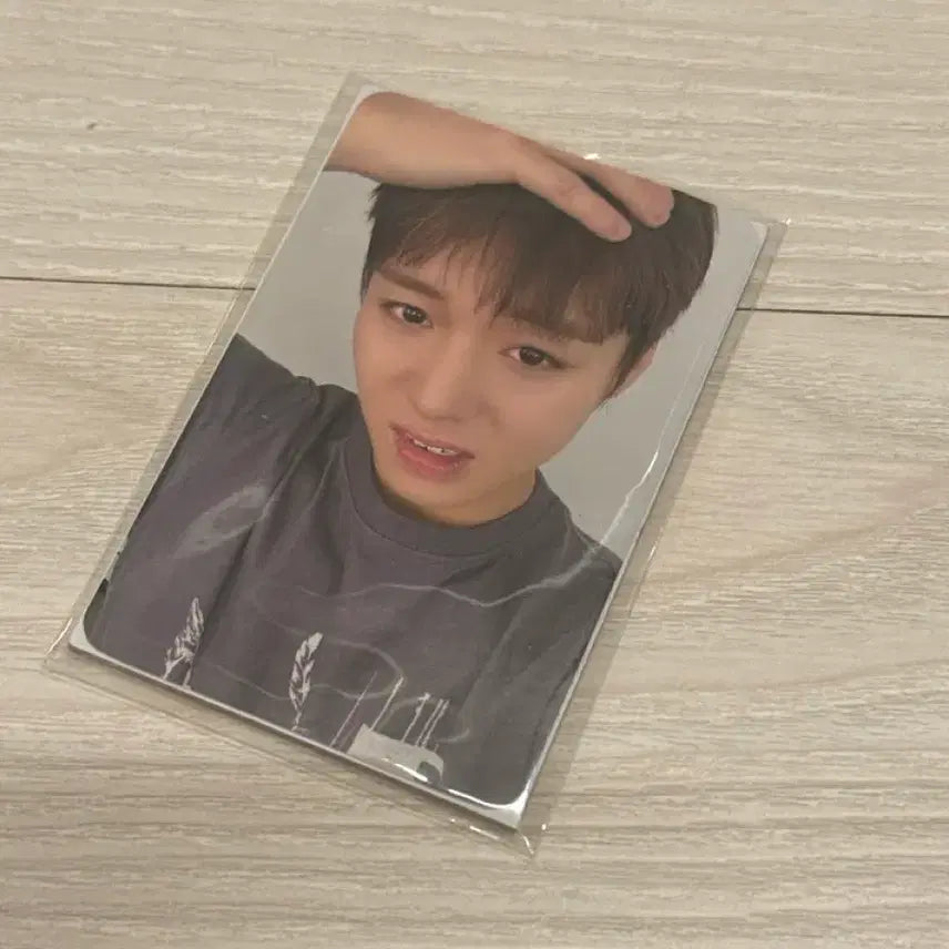 [BUNJANG] Park Jihoon Reflect Popup Layered T-Shirt with Photocard / 박지훈 리플렉트 팝업 옷 티셔츠 포카포함