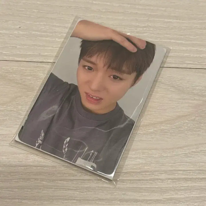 [BUNJANG] Park Jihoon Reflect Popup Layered T-Shirt with Photocard / 박지훈 리플렉트 팝업 옷 티셔츠 포카포함