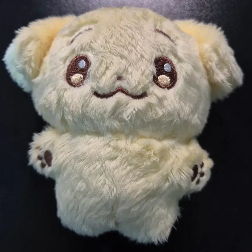 [BUNJANG] ENHYPEN Jake Simnuri Doll / 엔하이픈 심누리 제이크 인형 양도