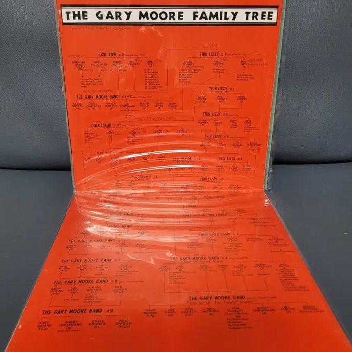 [BUNJANG] Gary Moore Live 2LP Album &