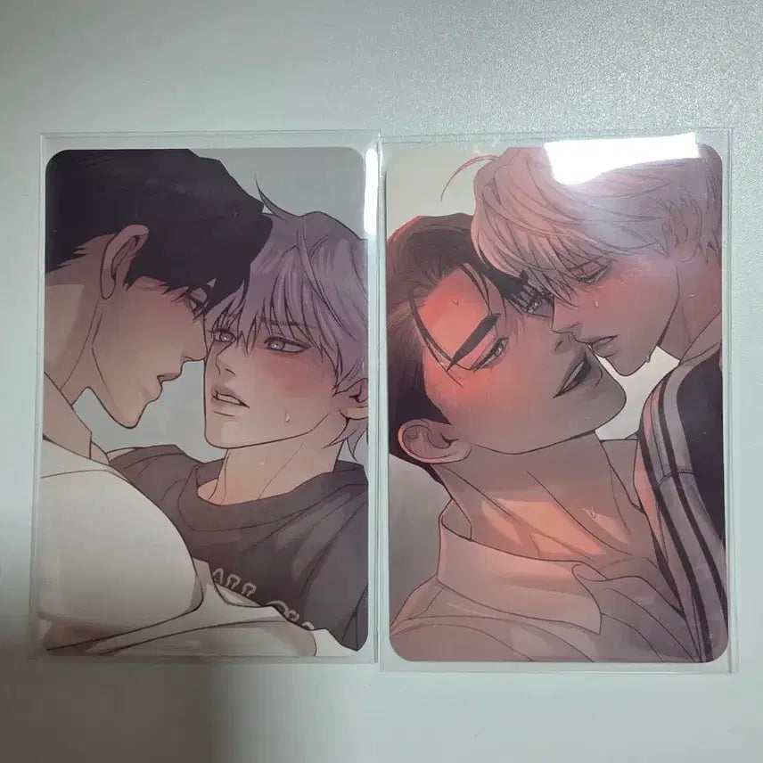 [BUNJANG] Seventeen Special Edition Photocard Bundle Set / 조개소년 특전 포토카드 일괄
