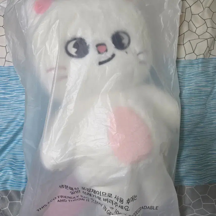 [BUNJANG] SKIZOO Teddy Bear Passport Holder / (미개봉)스트레이키즈 지니렛 테디베어