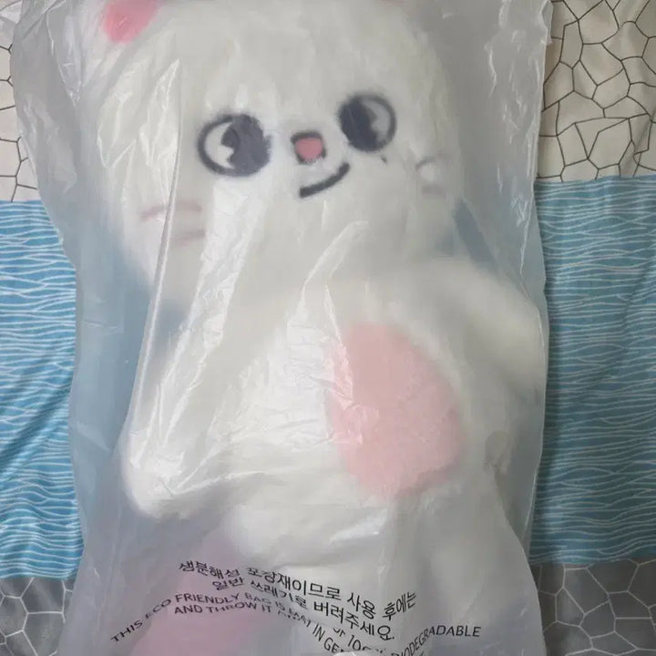[BUNJANG] SKIZOO Teddy Bear Passport Holder / (미개봉)스트레이키즈 지니렛 테디베어