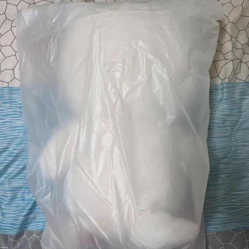 [BUNJANG] SKIZOO Teddy Bear Passport Holder / (미개봉)스트레이키즈 지니렛 테디베어