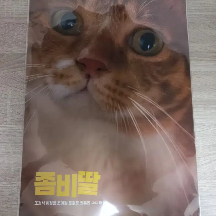 [BUNJANG] Zombie Daughter Ae-yong Poster / 좀비딸 애용이 포스터