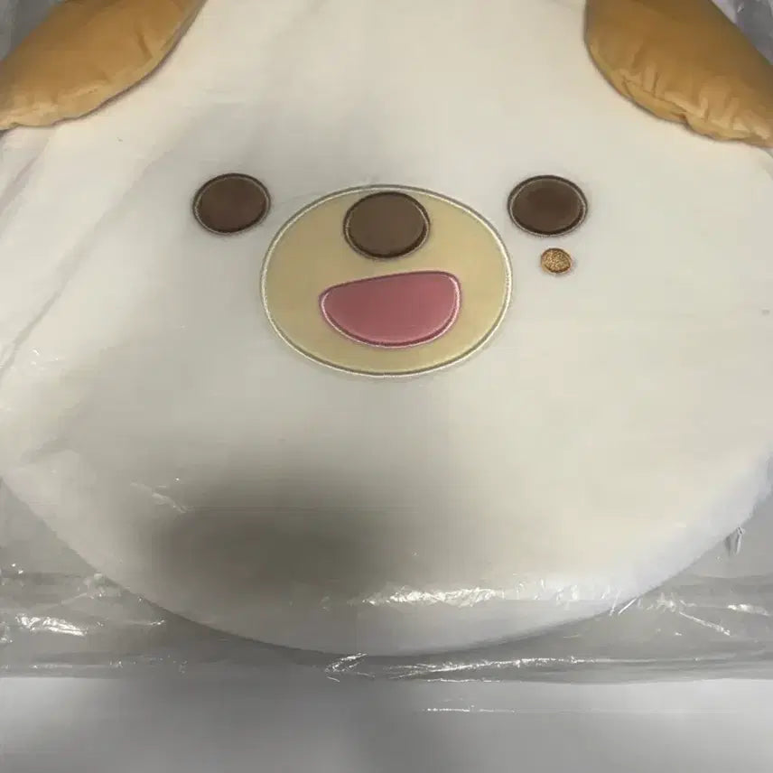 [BUNJANG] Giant Petite Merz Cushion &amp; Money Set / 자이언트 쁘띠멀즈 , 방석 돈 세트 원가이하 양도