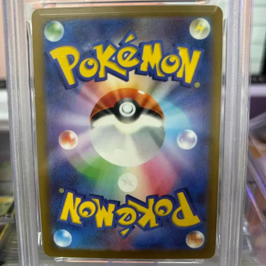 [BUNJANG] Moyamoya Jjiri Berry Backboard Card / 모야모의 찌리배리 등카