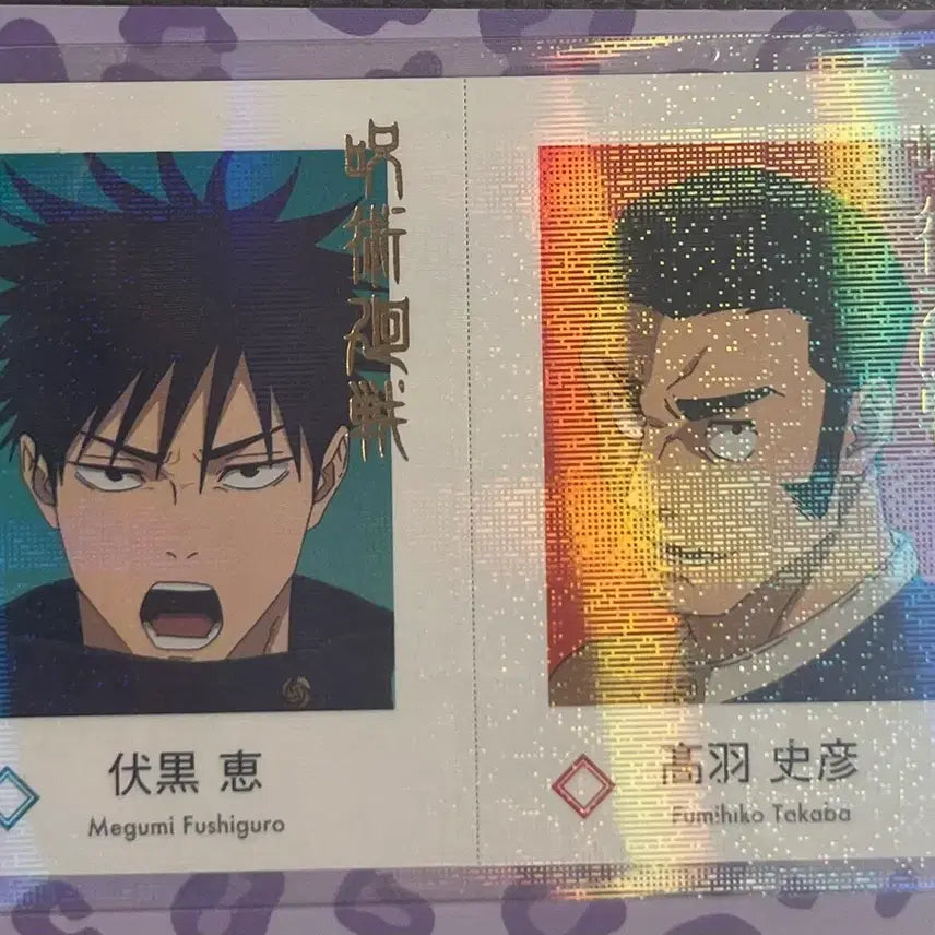 [BUNJANG] Jujutsu Kaisen Megumi Fushiguro &amp; Tsumiki Wari Instant Photos &amp; Pass Case Bundle Set / [일괄] 주술회전 후시구로 메구미 츠미키 wari 증사 증명사진, 파샤