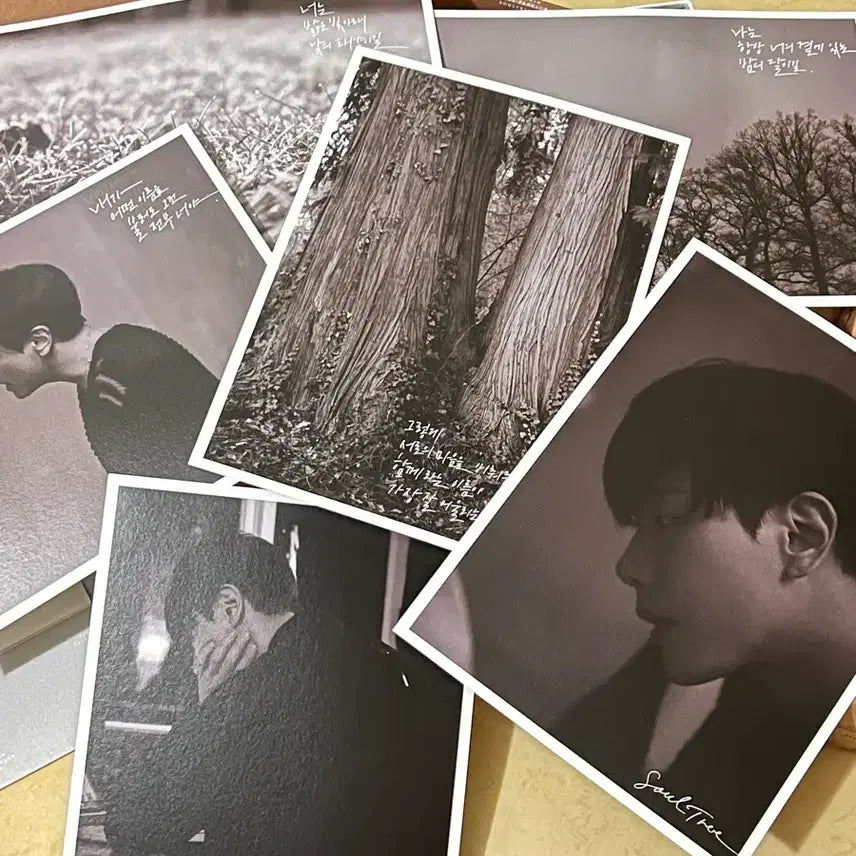 [BUNJANG] Park Hyo Shin STPD USB / 박효신 STPD USB팝니다