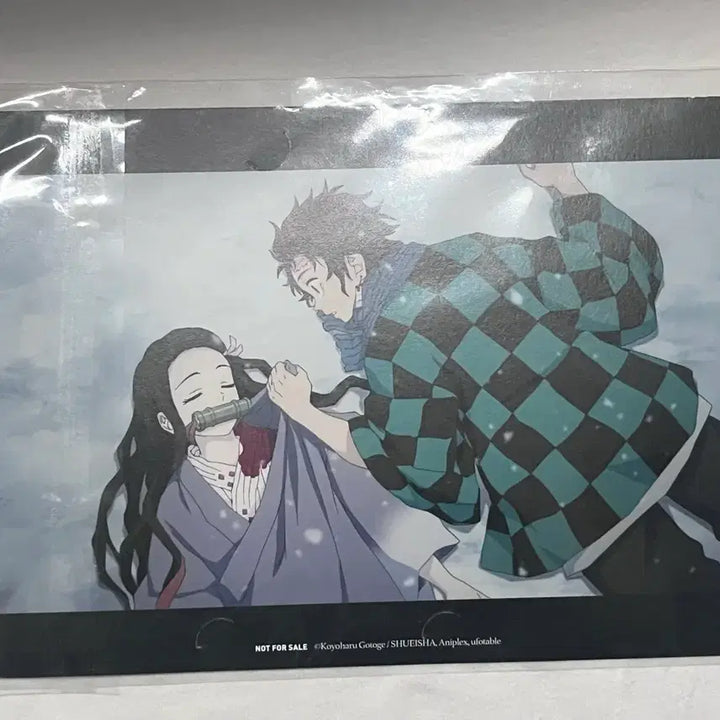 [BUNJANG] Demon Slayer: Kimetsu no Yaiba Siblings&