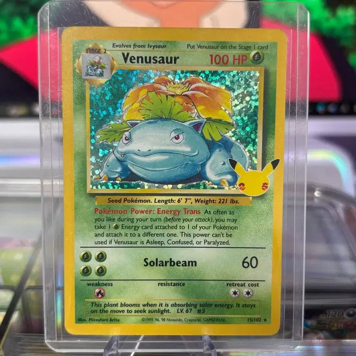 [BUNJANG] Old Back Venusaur Card / 올드백 이상해꽃 카드 등급용