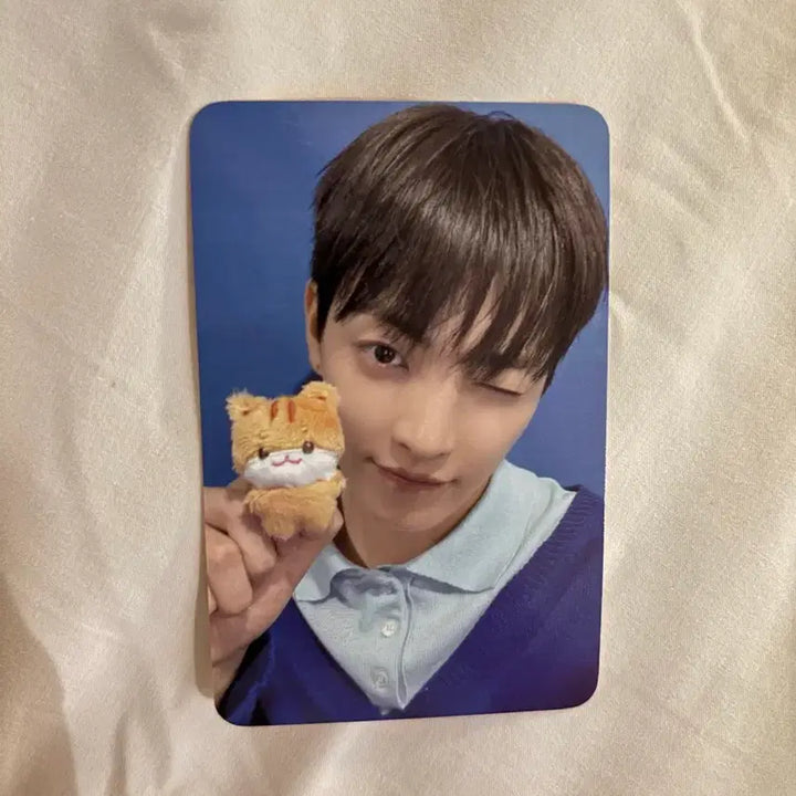 [BUNJANG] ATEEZ Tiny Mini Anitez Seonghwa Jjongrami Photocard / 에이티즈 타이니 미니 애니티즈 홍중 포카 쭝라미
