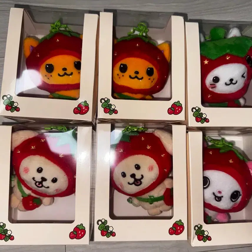 [BUNJANG] NCT WISH Japan Very Bakery Strawberry Wish Doll Sio Ning Dangt Pangyi Bubble Cat / 엔시티 위시 일본 베리 베이커리 딸기 위시돌 시오닝 댕트 팡이 버블냥