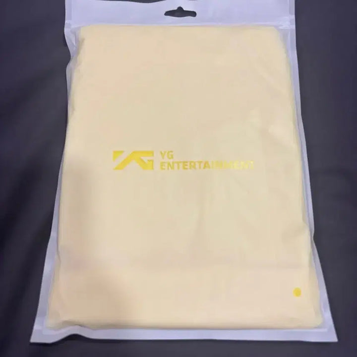[BUNJANG] Big Bang 20th Anniversary First Concert Gift Set &amp; Lightstick / 빅뱅20주년 첫콘 기프트세트