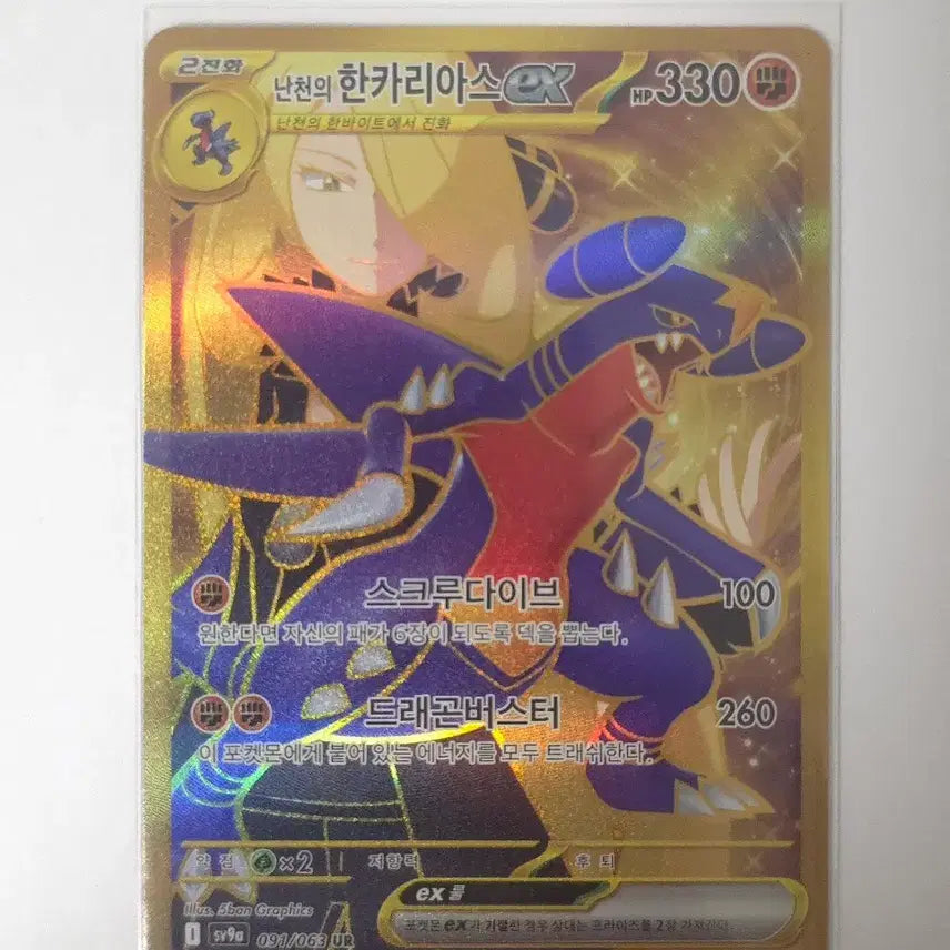 [BUNJANG] Pokemon Card Iris&