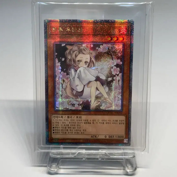 [BUNJANG] Yu-Gi-Oh! Haru Urara QCAC-KR050 / 유희왕 하루 우라라 쿼싴 QCAC-KR050