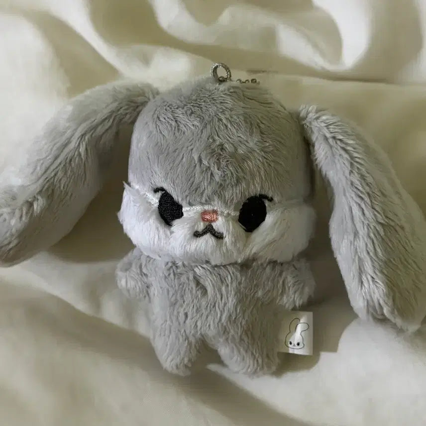 [BUNJANG] NCT Doyoung Dyotokki Plush / nct 도영 됴토끼