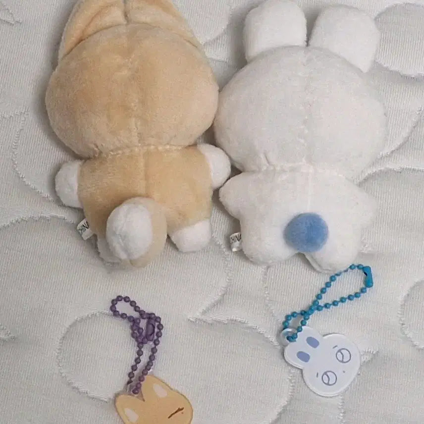 [BUNJANG] PLAVE Malang PLAVE Noah/Yejun Plush Doll (Includes Keyring) / 플레이브 비공굿 인형 말랑플브 노아/예준