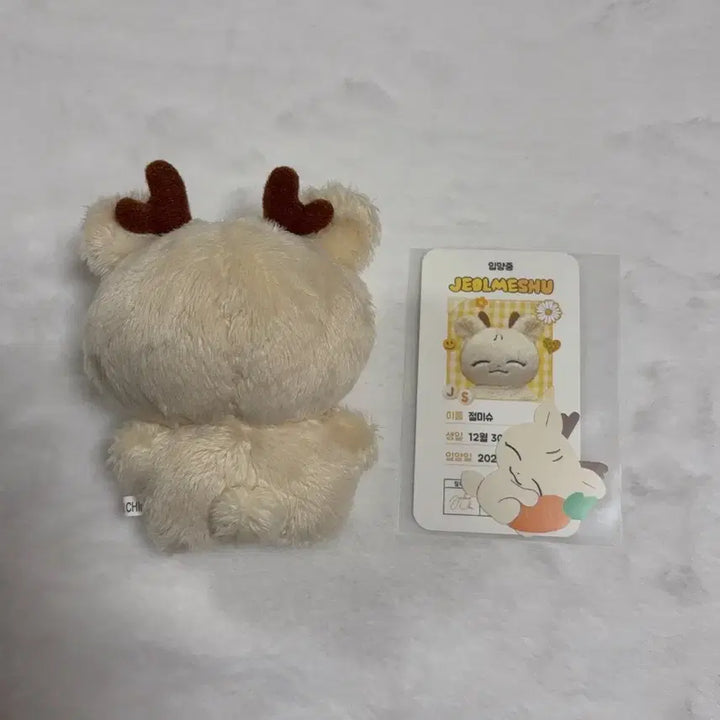 [BUNJANG] SEVENTEEN Joshua "Jeolmi" &amp; "Nup" Plush Set / 세븐틴 조슈아 인형 절미슈 &amp; 눕슈 일괄 판매