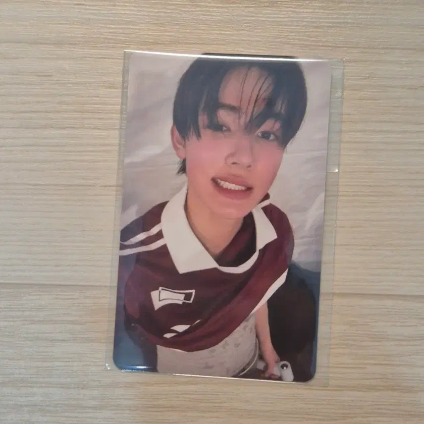 [BUNJANG] Seonghyun Curtis LD Photocard / 성현 코르티스 ld 포카