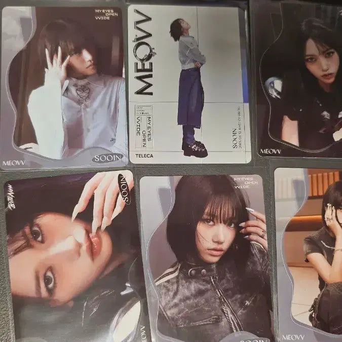 [BUNJANG] Terremiao Animal Card Set (8 Types) / 테레카 미야오 수인 카드 8종 팝니다.