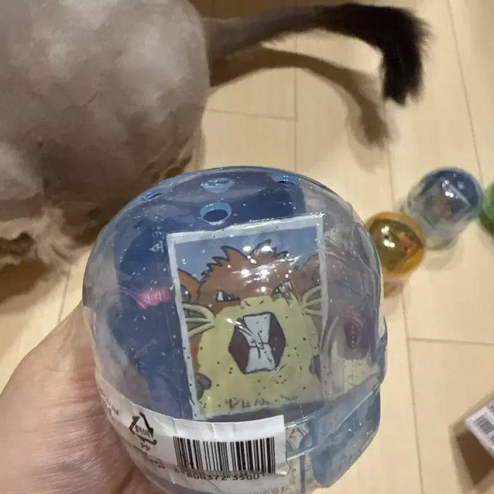 [BUNJANG] Pokemon ID Photo Capsule Toys - Diglett, Slowpoke, Weezing, Krabby / 포켓몬 증명사진 레트라 디그다 야도란 또도가스 투구