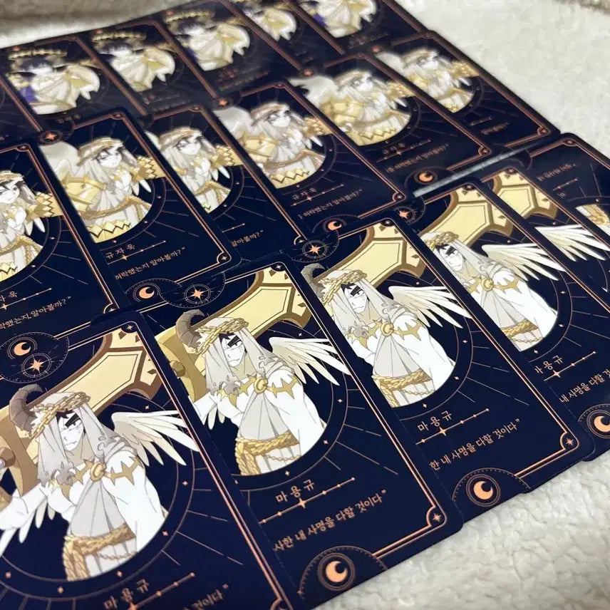 [BUNJANG] Zombie High School Magic High Kim Tae-poong, Gyu Ja-wook, Ma Yong-gyu Card Set Bundle / 좀비고등학교 마법고 김태풍 규자욱 마용규 카드덱 카드텍 일괄