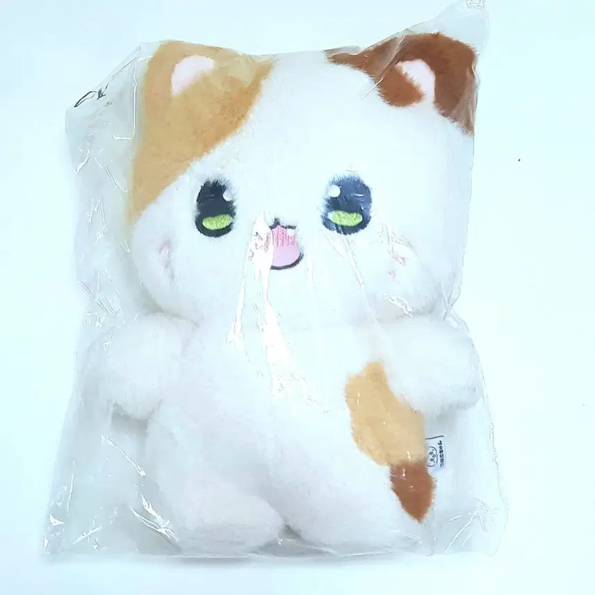 [BUNJANG] Konekosama A.G. Cat Doll / 코네코사마양 아기고양이 인형