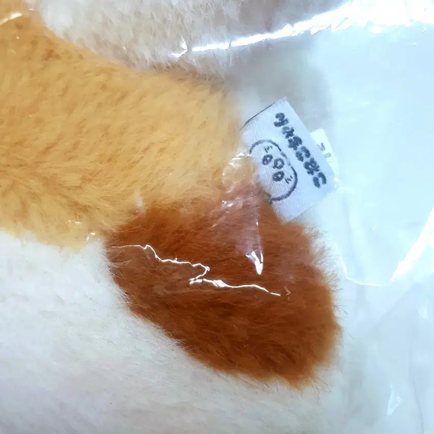 [BUNJANG] Konekosama A.G. Cat Doll / 코네코사마양 아기고양이 인형