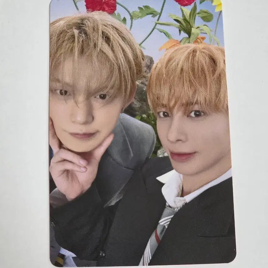 [BUNJANG] TXT Setsuna Hanabi Unit Photocard Yeonjun Hyunjin Nyan Nyanz / 투바투 세츠나하나비 유닛포카 연준 태현 냥냥즈