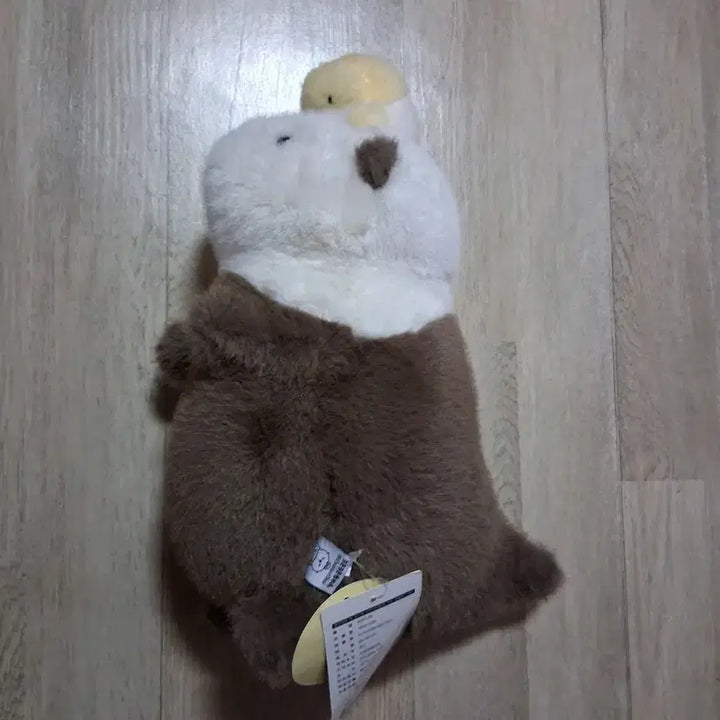 [BUNJANG] Rakko Rakko Chan Sea Otter Plush 27cm / 락코락코짱 해달27센티 봉제인형(무료배송)