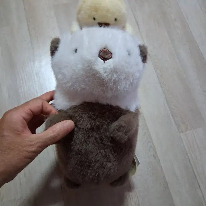 [BUNJANG] Rakko Rakko Chan Sea Otter Plush 27cm / 락코락코짱 해달27센티 봉제인형(무료배송)