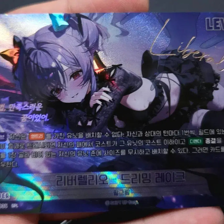 [BUNJANG] NİKE Liberelle - Dreaming Lake Leader Signed Card / 니케 리버렐리오 - 드리밍 레이크 리더 싸인카드