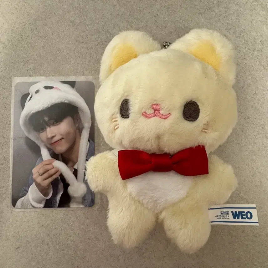[BUNJANG] ZB1 Sung Hanbin MAKETSTAR Hamninibini Plush Doll / 제로베이스원 제베원 ZB1 성한빈 메이크스타 햄빈빈 인형