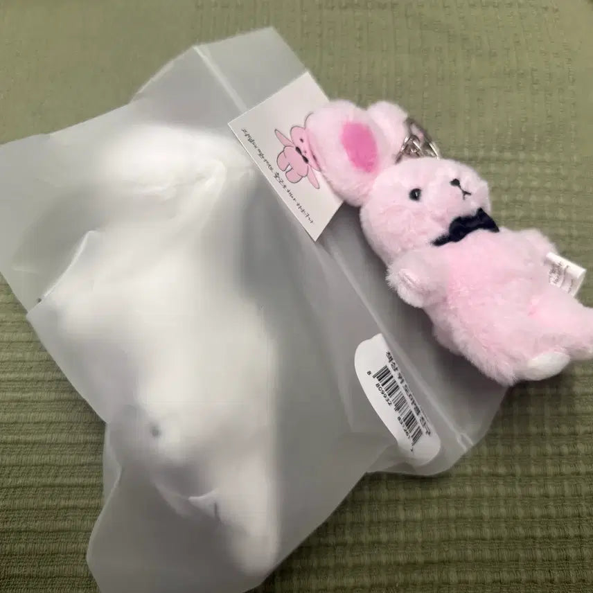 [BUNJANG] Desk Lizard + Good Friend Brown Desk Accessories / 괴담출근/괴출팝업 | 책상 위 도마뱀 + 착한친구 브라운
