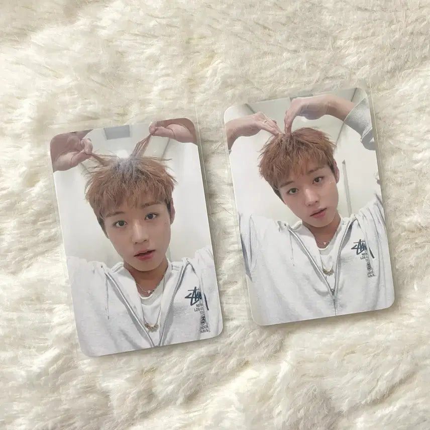 [BUNJANG] Park Ji Hoon Reflect Fan-Concert MD Photocard Bundle Set / 박지훈 리플렉트 팬콘서트 MD 포카 일괄
