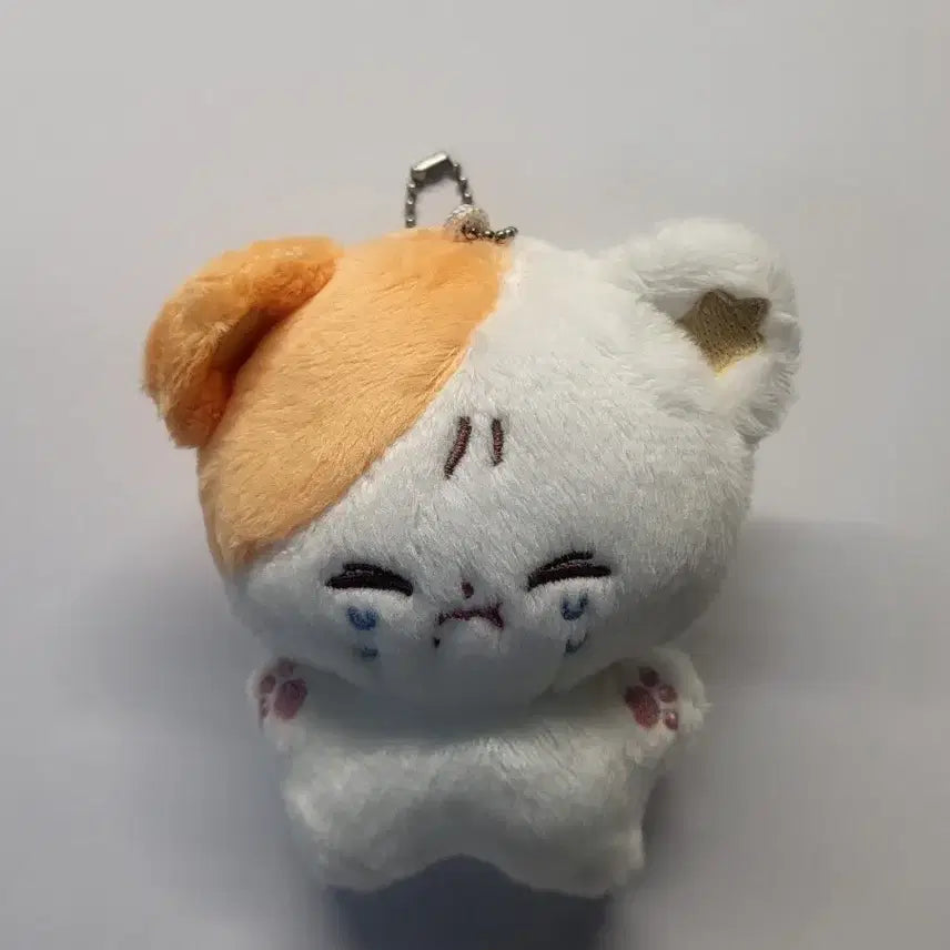 [BUNJANG] NCT DREAM Jisung Doll / 엔시티드림 지성 인형 판매