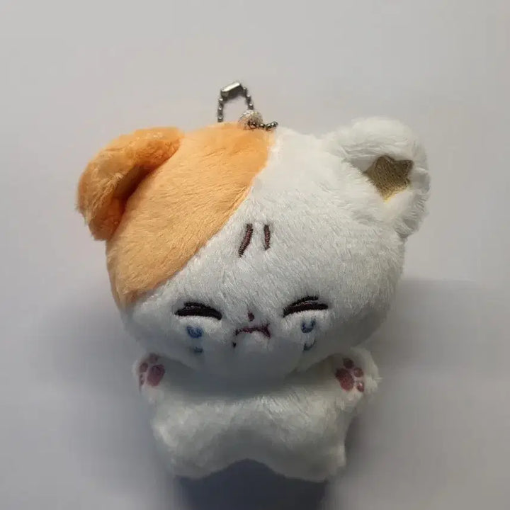 [BUNJANG] NCT DREAM Jisung Doll / 엔시티드림 지성 인형 판매