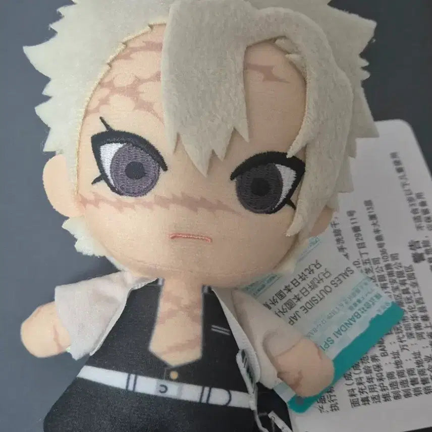[BUNJANG] Sanemi Shinazugawa Plush / 처분 사네미 누이
