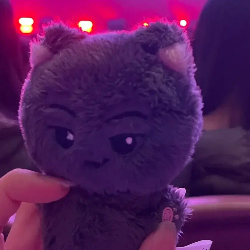 [BUNJANG] ENHYPEN Jay Sunoo Jungwon Plush Doll (US Cat, Korean Cat, Nyanjjo) / 엔하이픈 제이 선우 정원 인형 미국냥 냥쭈고 한국폭