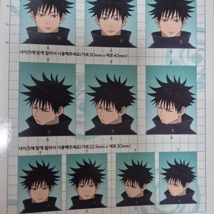 [BUNJANG] Jujutsu Kaisen Megumi Fushiguro ID Photo / 주술회전 후시구로 메구미 ID Photo