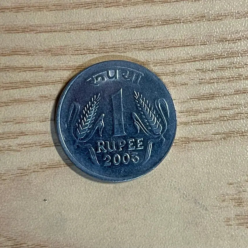 [BUNJANG] India 1 Rupee Coin 2003 / 인도 1루피 동전 2003년