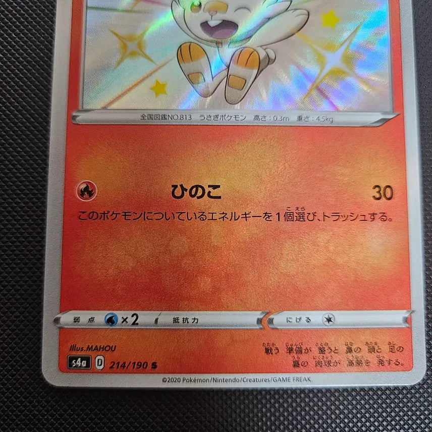 [BUNJANG] Ace Burn Rabbbit Version Shiny Set / 염버니 래비풋 에이스번 일판 이로치 세트
