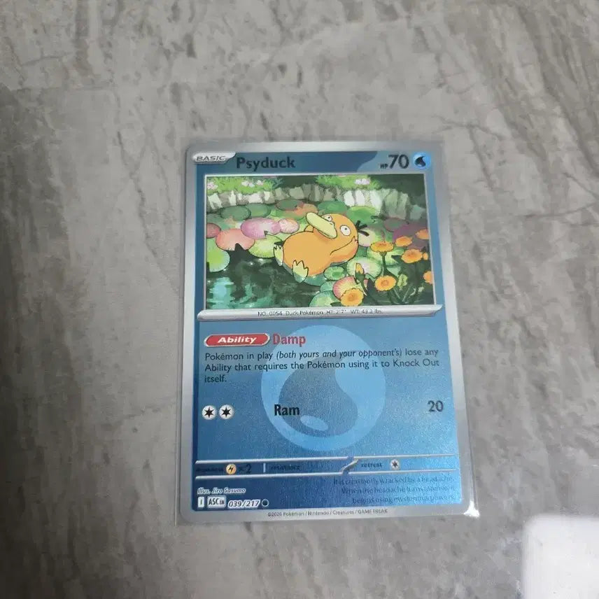 [BUNJANG] Pokemon Card [North America] Golduck Holo / 포켓몬카드[북미] 고라파덕 홀로