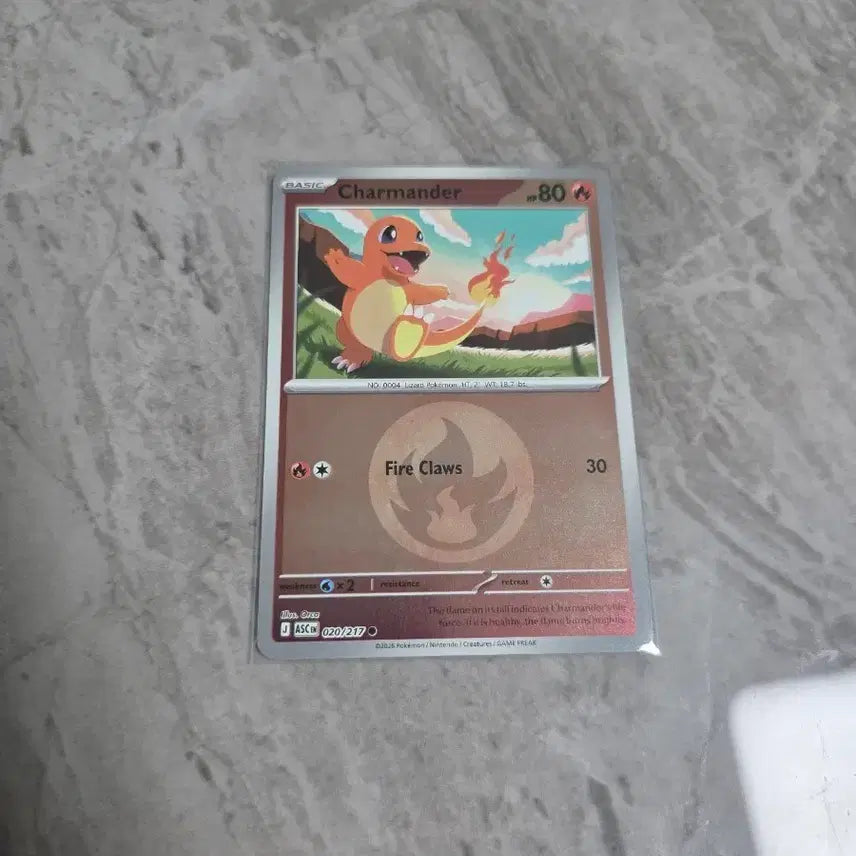 [BUNJANG] Pokemon Card (North America) Charmander Holo / 포켓몬카드[북미]  파이리 홀로